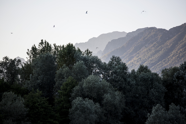 LAKE AND MOUNTAINS 